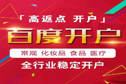 行业领先企业的SEM竞价代运营案例解析
